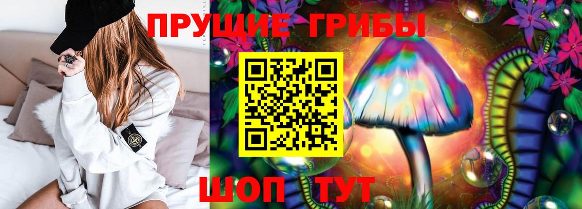 Галлюциногенные грибы Psilocybine cubensis Похвистнево