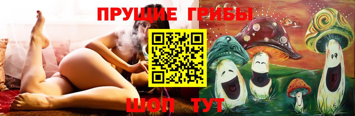 Похвистнево  закладка  Вход с VPN  Галлюциногенные грибы Cubensis  Галлюциногенные грибы Magic Shrooms 